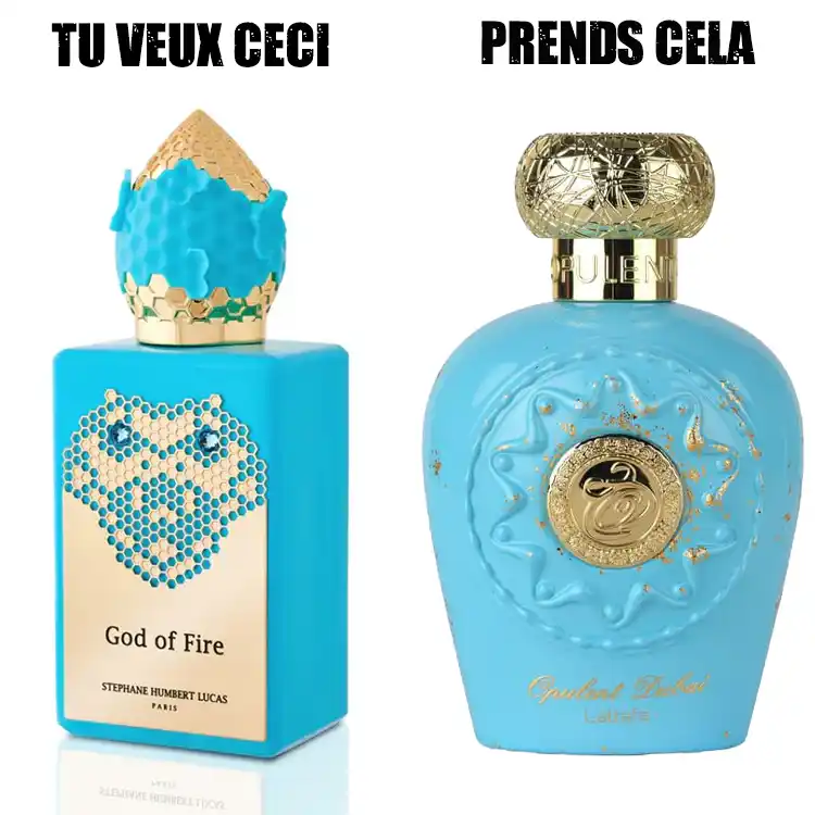 Le dupe de god of fire
