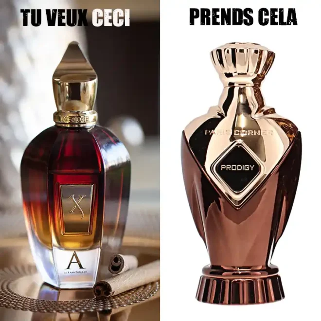 Le dupe de alexandria 2