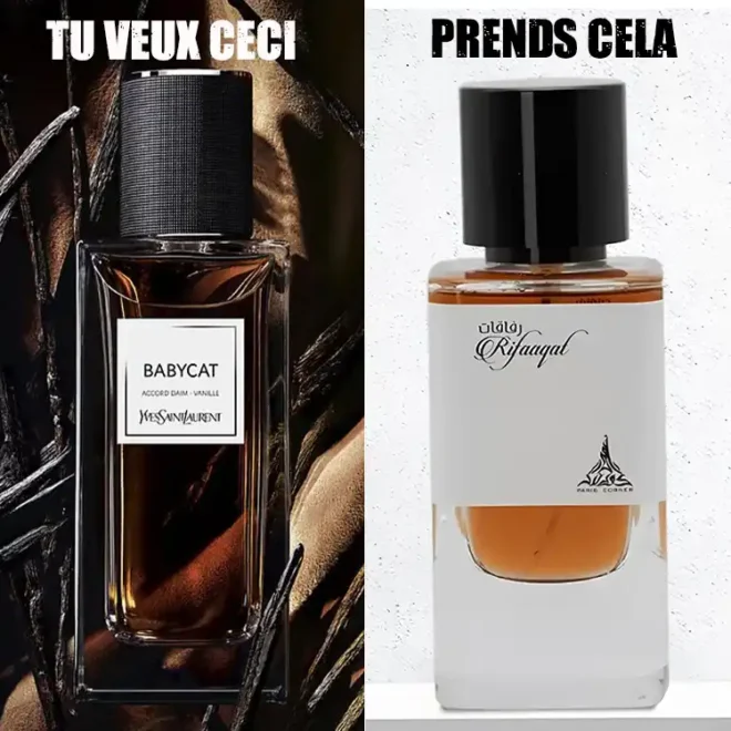 Le dupe de babycat