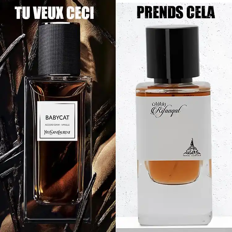 Le dupe de babycat